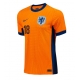 Țările de Jos Donyell Malen #18 Tricou Fotbal Replică European 2024 Barbati Acasa